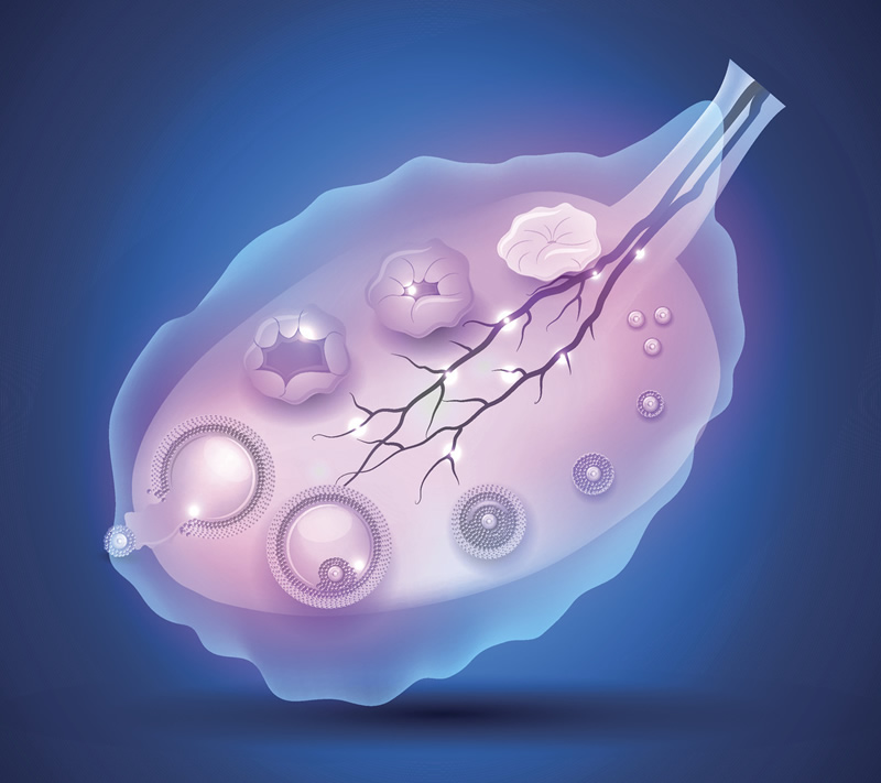 39岁做试管冻胚的成功率如何(有什么方法能够提升成功率吗？)